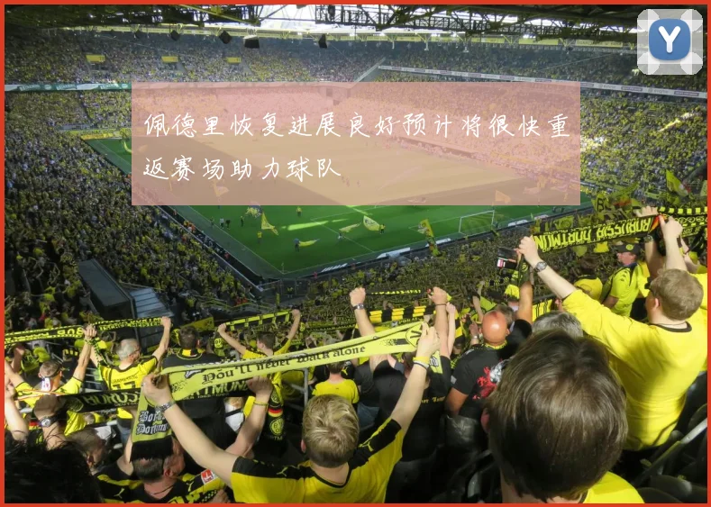 佩德里恢复进展良好预计将很快重返赛场助力球队
