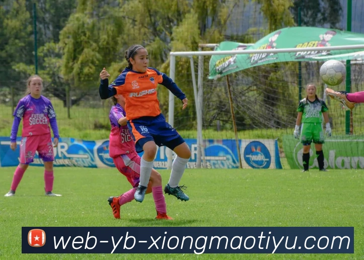 多媒体互动体验